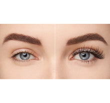 Load image into Gallery viewer, NO. 27 10-PIECE SET
